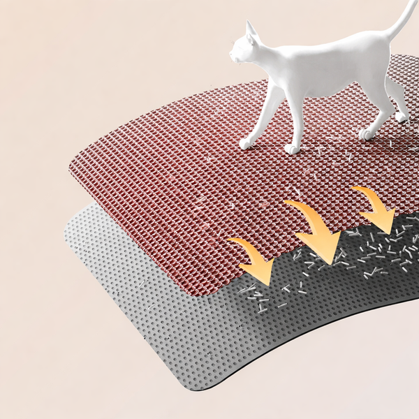 ChatGPT Image 16 mars 2026 09_47_08.png