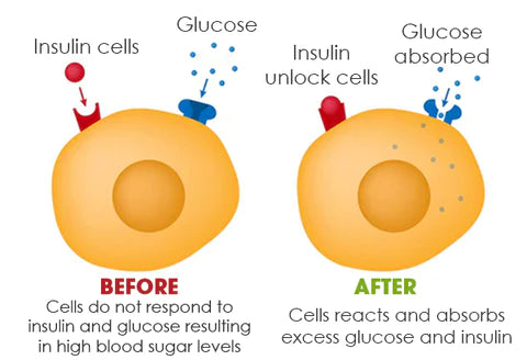 VitalBalance™ – Smart Hälsobräcelet med Blodsockerreglering